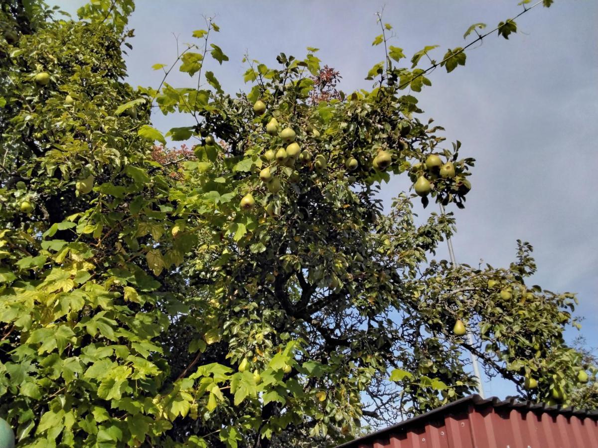 Bo I Trelleborg Lägenhet Exteriör bild